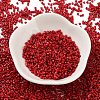 Baking Paint Glass Seed Beads SEED-S042-05B-89-2