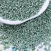 MIYUKI Delica Beads X-SEED-J020-DB0415-1