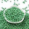 6/0 Glass Seed Beads X1-SEED-L011-08A-15-2