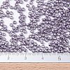 MIYUKI Round Rocailles Beads X-SEED-G007-RR1062-4