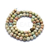 Natural Peruvian Turquoise(Jasper) Beads Strands G-E561-11-6mm-AB-2