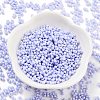 Baking Paint Glass Seed Beads SEED-A033-04H-2