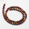 Natural Polychrome Jasper/Picasso Stone/Picasso Jasper Bead Strands G-D840-85-12mm-2