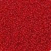 MIYUKI Round Rocailles Beads SEED-G007-RR0141F-2