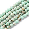 Sea Shell and Synthetic Turquoise Assembled Beads Strands G-G758-07-6mm-2
