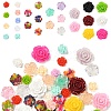 50Pcs 5 Styles Resin Cabochons CRES-YW0002-40-1