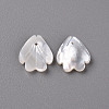 Natural White Shell Mother of Pearl Shell Beads SSHEL-R144-12A-2
