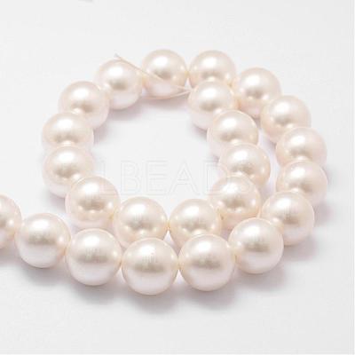 Shell Pearl Bead Strands BSHE-L026-03-16mm-1