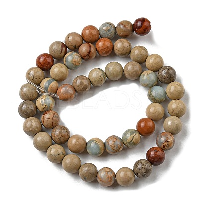 Natural Aqua Terra Jasper Beads Strands G-E444-14B-6mm-1
