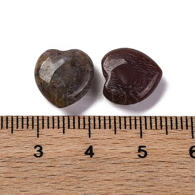Natural Indian Agate Beads G-Z066-07-1
