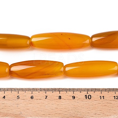 Natural Agate Dyed Beads Strands G-T138-230H-1