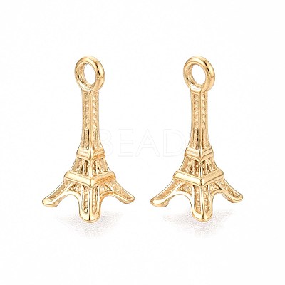 304 Stainless Steel Pendants STAS-N109-258G-1