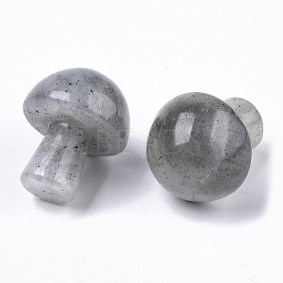 Natural Labradorite GuaSha Stone G-N0325-02P-1