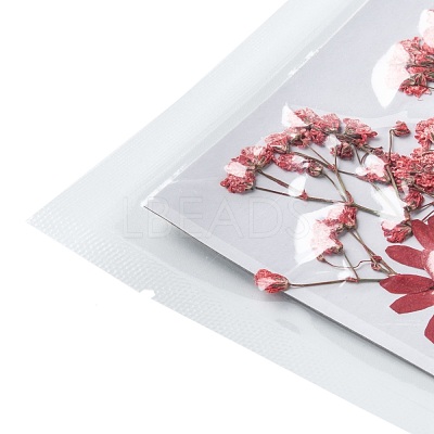Pressed Dried Flowers DIY-F076-01C-1