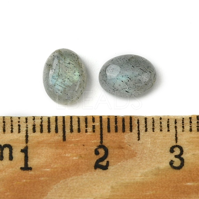 Natural Labradorite Cabochons X-G-A094-01B-11-1