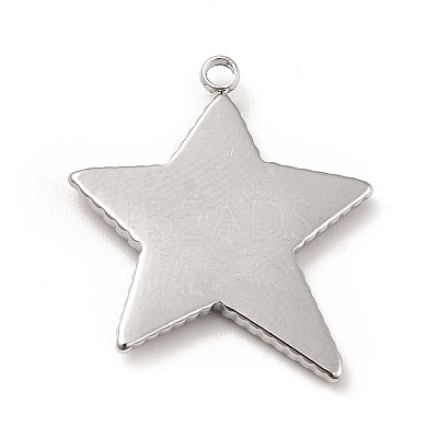 Non-Tarnish 304 Stainless Steel Pendants STAS-P312-14P-1