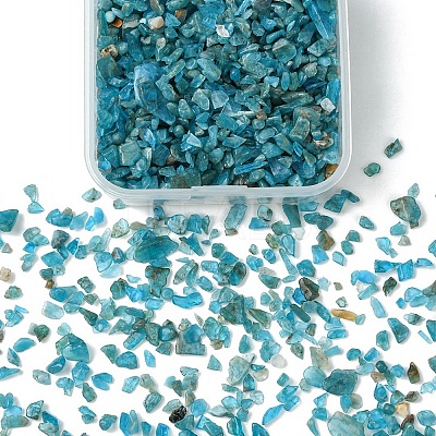 60G(672pcs) Natural Apatite Chip Beads G-YW0001-83-1