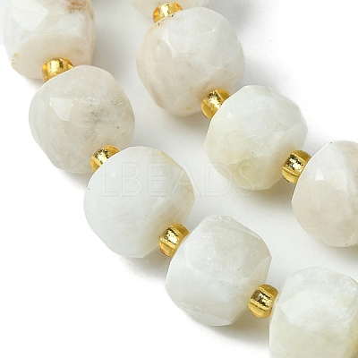 Natural Moonstone Beads Strands G-Q010-A05-01-1