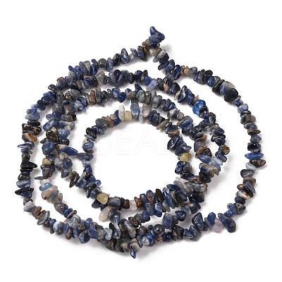 Natural Sodalite Chips Beads Strands X-F024-1
