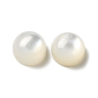 Natural White Shell Cabochons SSHEL-M022-01A-1