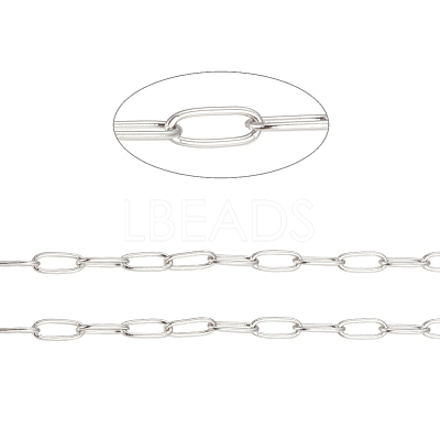 Tarnish Resistant 304 Stainless Steel Paperclip Chains CHS-F010-01B-P-1