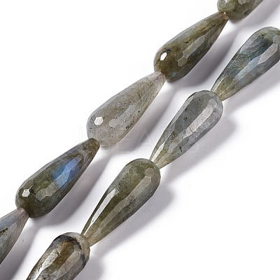 Natural Labradorite Beads Strands G-I328-07-1