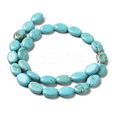 Natural Howlite Beads Strands G-C025-12A-1