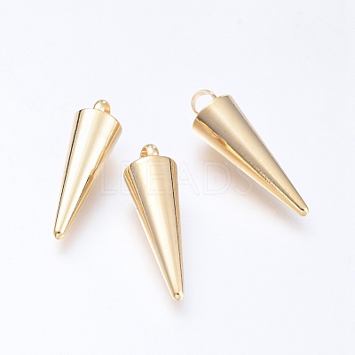 304 Stainless Steel Pendants STAS-G214-47G-01-1