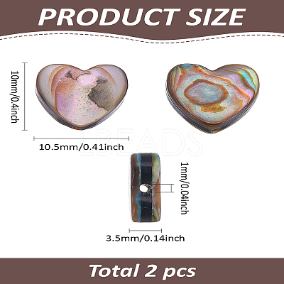 2Pcs Natural Abalone Shell/Paua Shell Beads SSHEL-LP0001-02-1