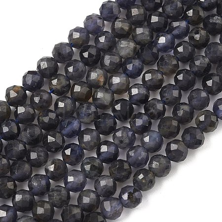 Natural Iolite Beads Strands G-J400-E05-02B-1