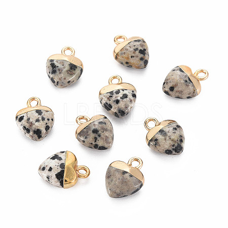 Natural Dalmatian Jasper Charms LS-G-N326-121-01-1