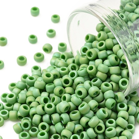 TOHO Round Seed Beads SEED-XTR08-0407F-1