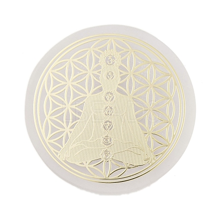 Flat Round Natural Selenite Slice Coasters DJEW-C015-02K-1