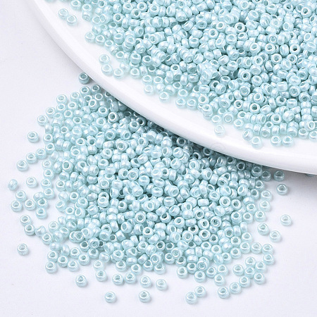 Frosted Opaque Glass Seed Beads X-SEED-S042-06A-03-1