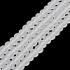 Transparent Glass Beads Strands EGLA-A044-T4mm-MD19-2