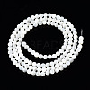 Natural Trochid Shell/Trochus Shell Beads Strands SSHEL-S266-023A-01-2