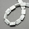 Natural Howlite Beads Strands X-G-S112-23-2