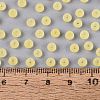 FGB Frosted Transparent Glass Seed Beads SEED-N013-02A-02-4