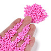 Baking Paint Glass Seed Beads SEED-S001-K2-4
