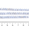 Natural Blue Lace Agate Beads Strands G-K366-B02-02-6