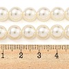 Glass Pearl Beads Strands HY-G002-01D-02-5