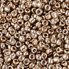 8/0 Glass Seed Beads X1-SEED-A017-3mm-1107-2