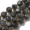 Natural Larvikite Beads Strands G-K387-A02-02-2