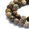 Natural Gemstone Beads Strands G-P457-C02-08-2