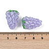 Handmade Lampwork Beads LAMP-U004-07G-3