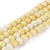 Baking Paint Glass Bead Strands GLAA-H031-01A-03-1