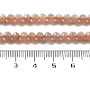 Natural Sunstone Beads Strands G-H080-B01-01-5