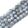 Natural Freshwater Shell Beads Strands BSHE-T009A-01K-1