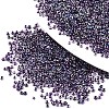 8/0 Glass Seed Beads X1-SEED-A016-3mm-214-2