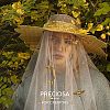 Preciosa&reg MAXIMA Crystal Fancy Stones Y-PRC-FB4-00030-260-5